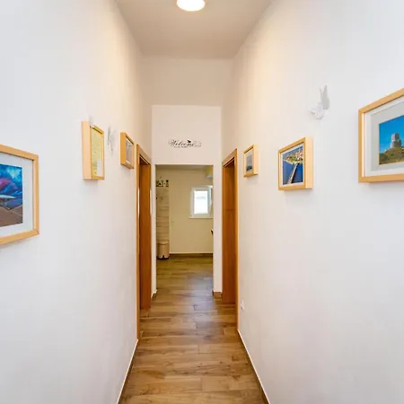 Apartment Branimir *